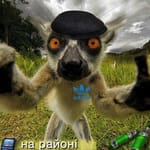 VahaC
